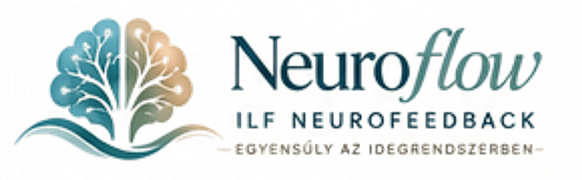 NeuroFlow Studió
